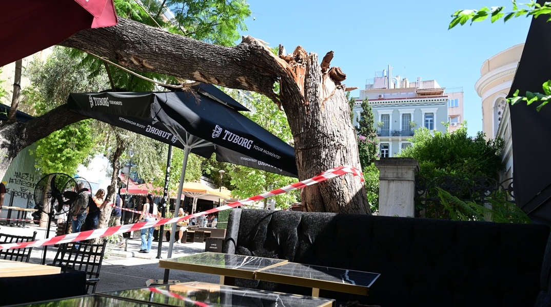 Δύο τραυματίες από την πτώση δέντρου στο κέντρο της Αθήνας