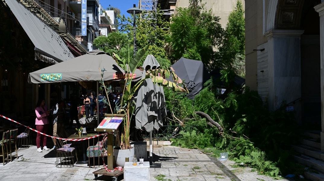 Εικόνες από τη σημείο της πτώσης του δέντρου στο κέντρο της Αθήνας
