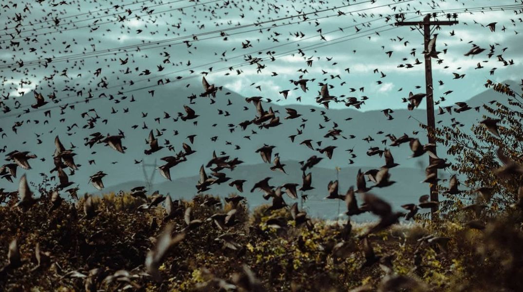 Σεπτέμβριος: Ένας μήνας αφιερωμένος στη λογοτεχνία