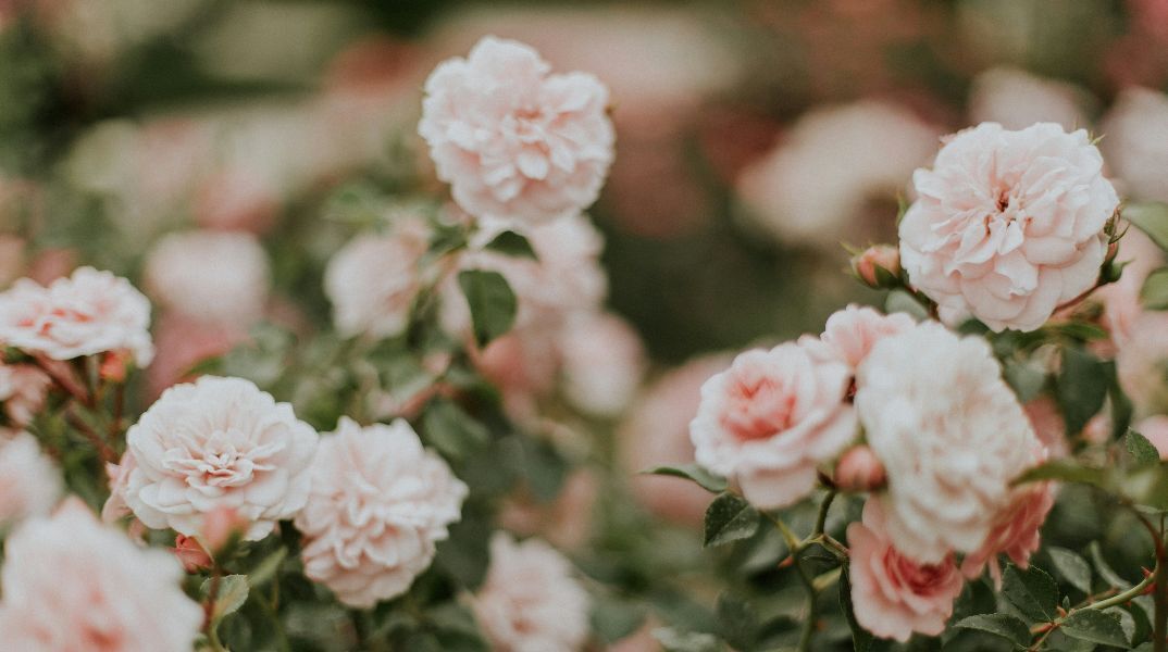 Εορτολόγιο: Σήμερα 23 Σεπτεμβρίου 2025 γιορτάζει…