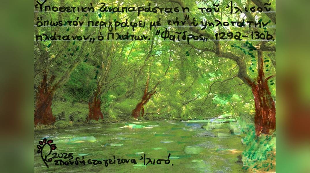 Ο πλάτανος του Πλάτωνα στον Ιλισό