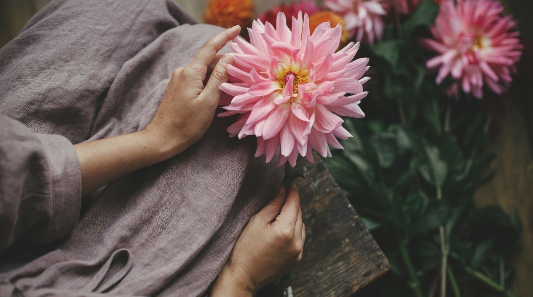 Ποιοι γιορτάζουν σήμερα 25 Σεπτεμβρίου 2025; Το εορτολόγιο της Athens Voice σου τους θυμίζει. Μην ξεχάσεις να τους δώσεις τις καλύτερες ευχές σου!