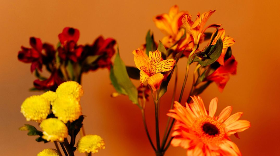 Ποιοι γιορτάζουν σήμερα 26 Σεπτεμβρίου 2025; Το εορτολόγιο της Athens Voice σου τους θυμίζει. Μην ξεχάσεις να τους δώσεις τις καλύτερες ευχές σου!