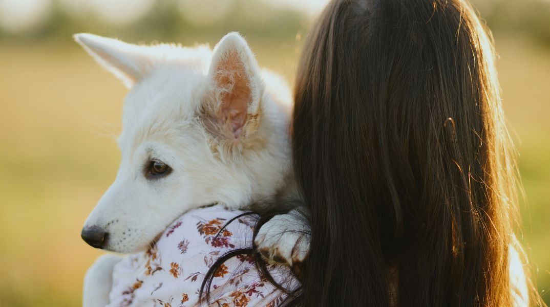 Σωματείο «Αντιμετώπιση Παιδικού Τραύματος»: Οδηγίες για την πρόληψη των παιδικών ατυχημάτων από ζώα - Πληροφορίες για την άμεση και σωστή αντιμετώπιση