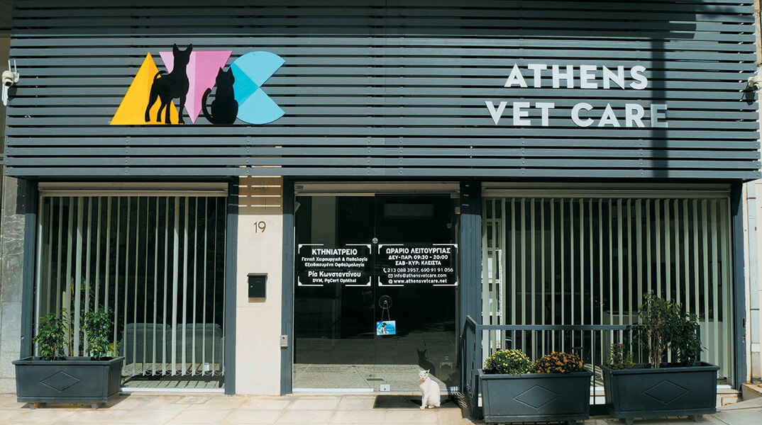 Athens vet care