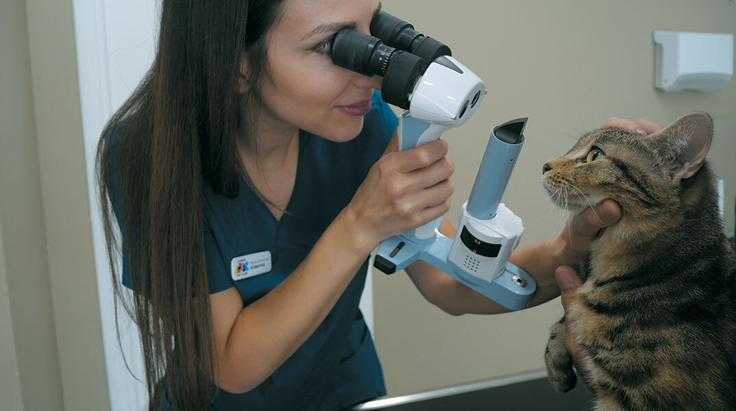 Athens vet care