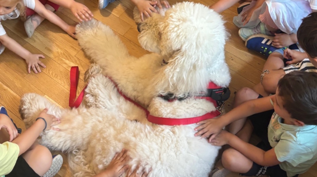 Σκύλος θεραπείας του Dogtherapy μαζί με παιδιά 