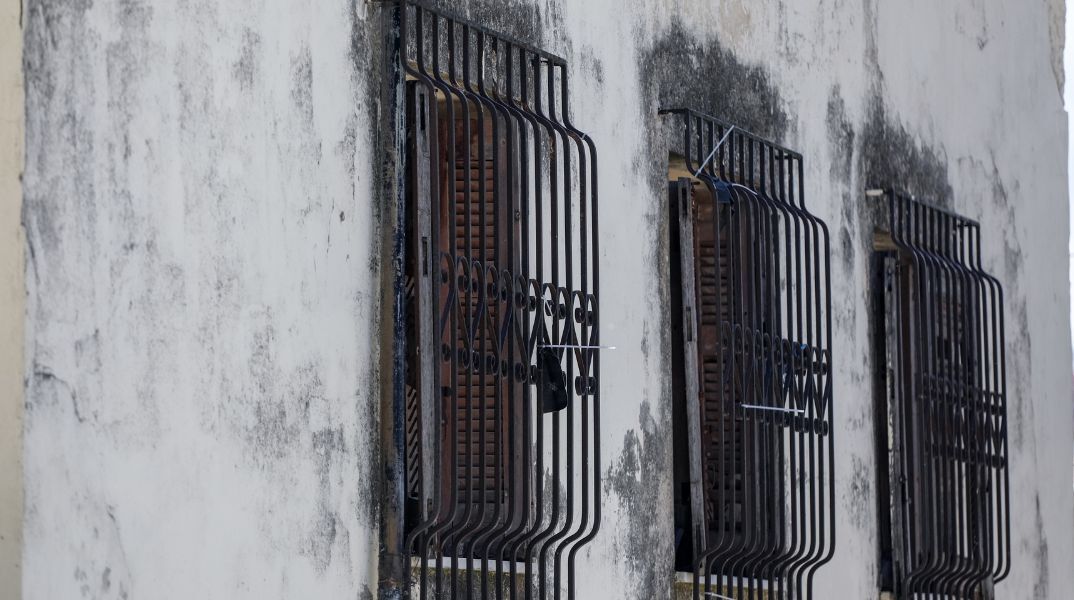 Γιατί τα θηρία δεν είναι στα κλουβιά;