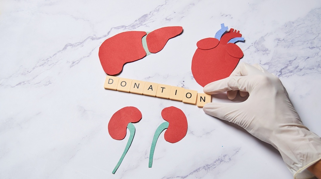 Απεικόνιση με χαρτόνι οργάνων που μπορούν να γίνουν δωρεά 