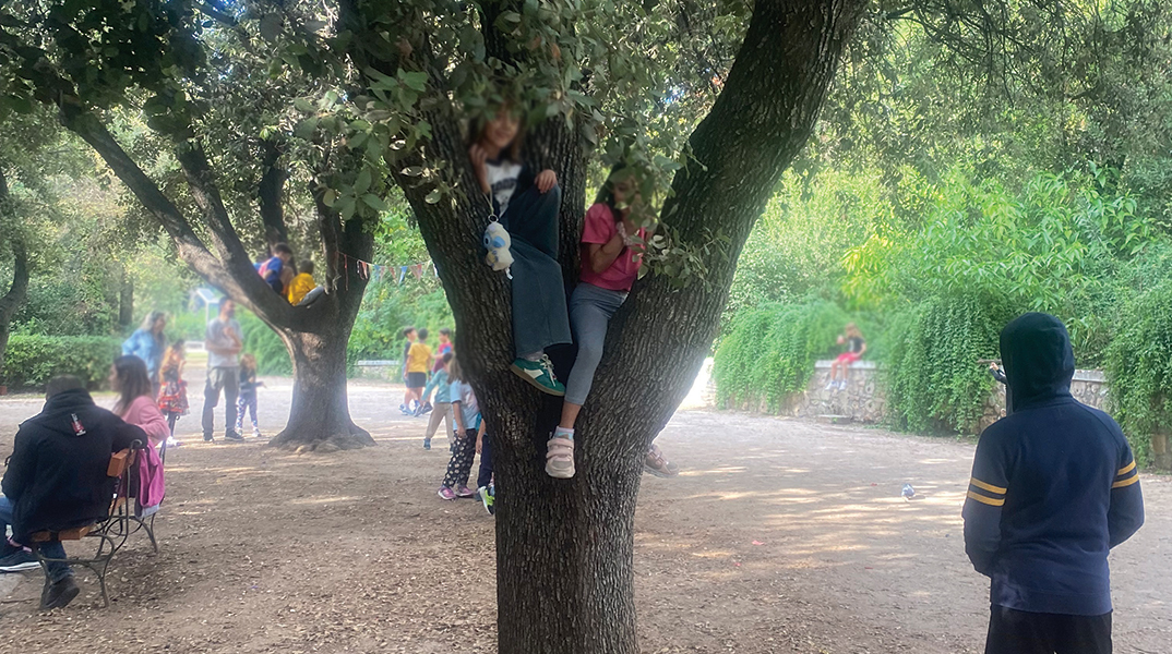 Σε βλέπω σκαρφαλωμένη πάνω στο δέντρο