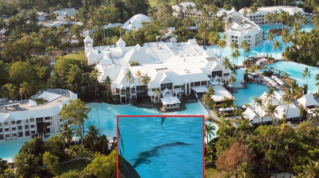 Αυστραλία: Κροκόδειλος βρέθηκε στην πισίνα πολυτελούς θερέτρου στο Κουίνσλαντ - Οι αρχές απομάκρυναν το ερπετό και εξέδωσαν προειδοποιήσεις.