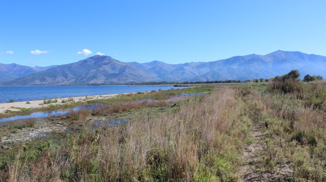 020_beach_expansion_lake_fall-gr