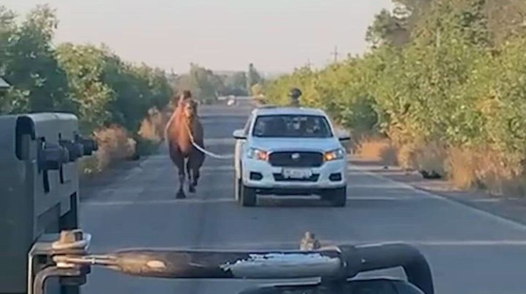 athensvoice_-_2025-10-30t165611_419