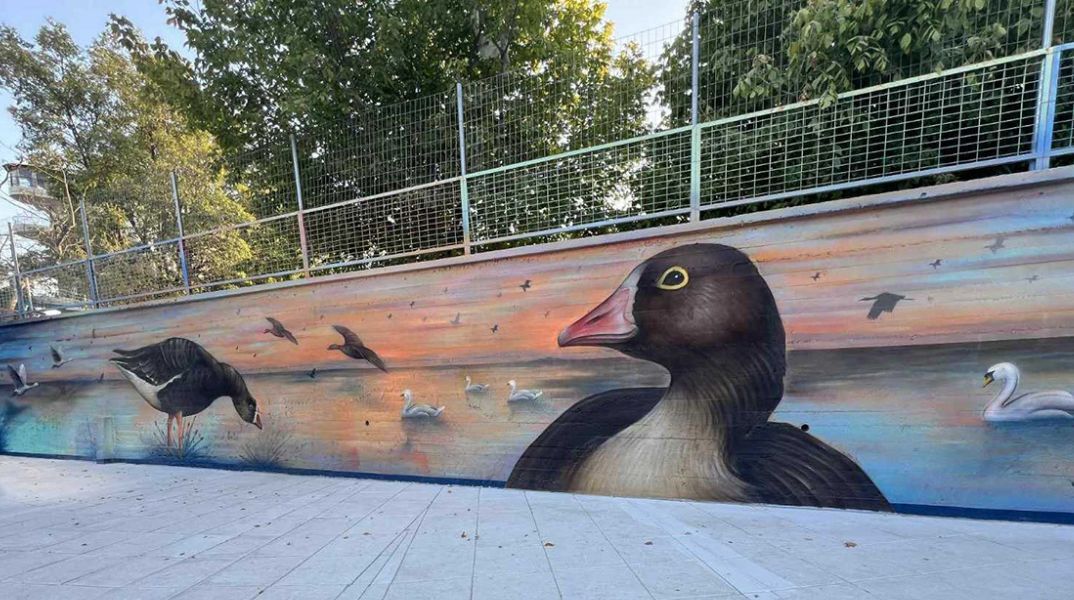 Αλεξανδρούπολη: Οι Νανόχηνες «προσγειώθηκαν» στα σχολεία της πόλης