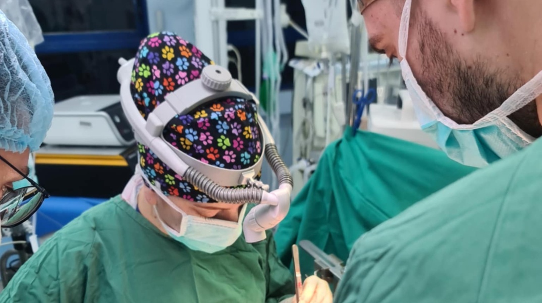 Η Κωνσταντίνα Ελένη Καρακάση είναι η πρώτη γυναίκα χειρουργός μεταμοσχεύσεων ήπατος στην Ελλάδα