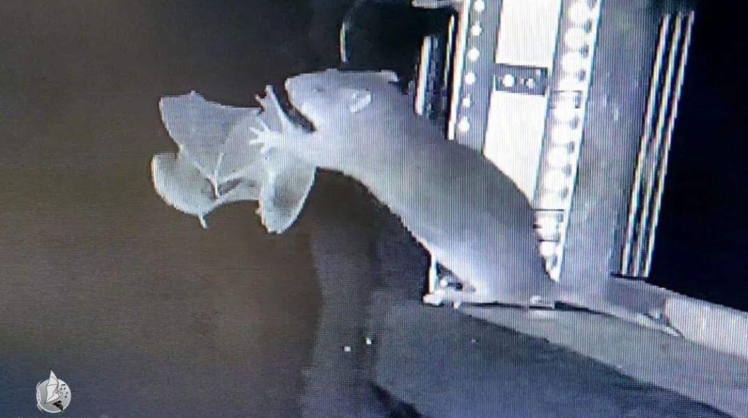 athensvoice_-_2025-11-03t191429_284