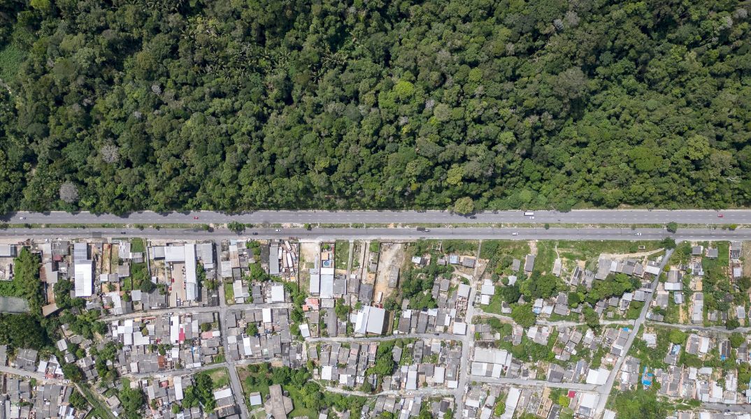 Η ρύπανση στον Αμαζόνιο χειρότερη από το Λονδίνο και το Πεκίνο - Νέα δεδομένα της Greenpeace - Aιτία η βιομηχανική κτηνοτροφία. 