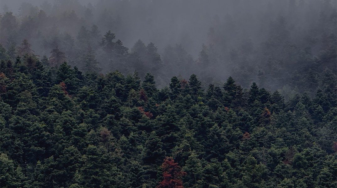 Εκδρομή με το αυτοκίνητο: μια απόδραση του μυαλού