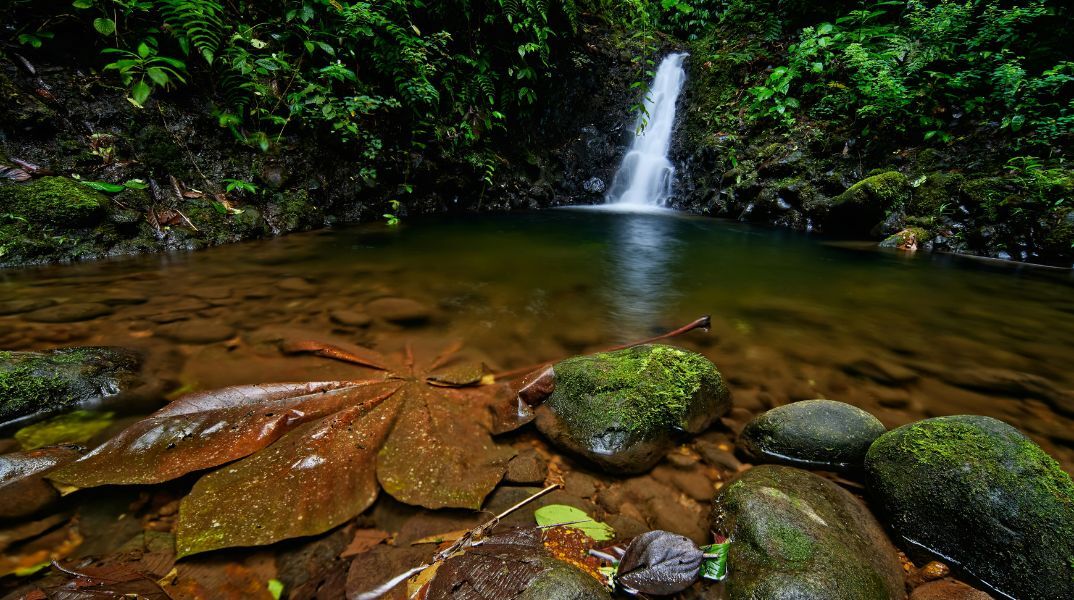 Η Ελληνική Εταιρεία Προστασίας της Φύσης για τα διακυβεύματα της COP30 για το κλίμα
