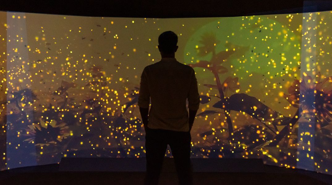 Το Εθνικό Μουσείο Φυσικής Ιστορίας Γουλανδρή  παρουσιάζει τη συναρπαστική Έκθεση «Βιοποικιλότητα. Όλα συνδέονται».