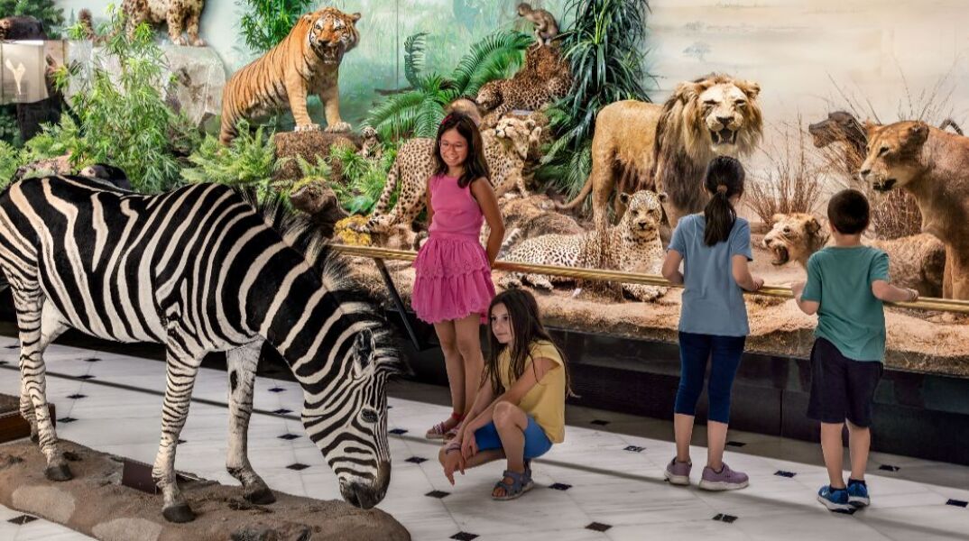 Ελεύθερη είσοδος για όλους στο Εθνικό Μουσείο Φυσικής Ιστορίας Γουλανδρή το Σαββατοκύριακο 15 - 16 Νοεμβρίου