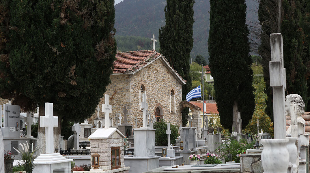 Δενδροφύτευση στα Καλάβρυτα: Όταν το συλλογικό τραύμα γίνεται σπόρος αναγέννησης
