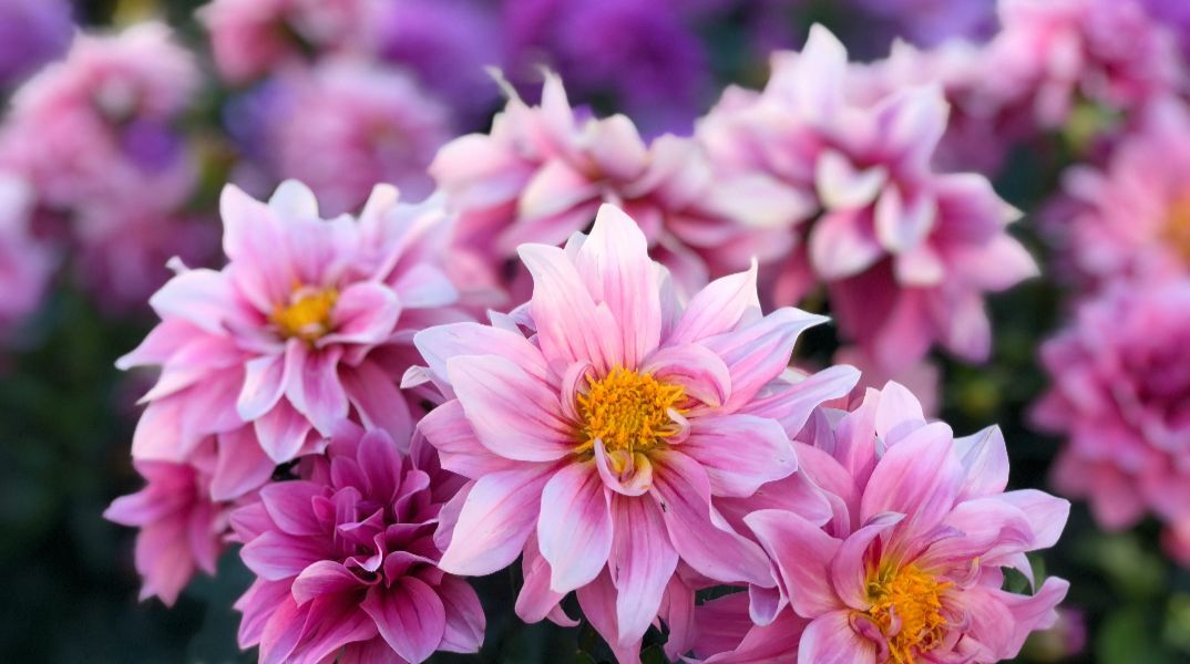 Εορτολόγιο: Σήμερα 15 Νοεμβρίου 2025 γιορτάζει…