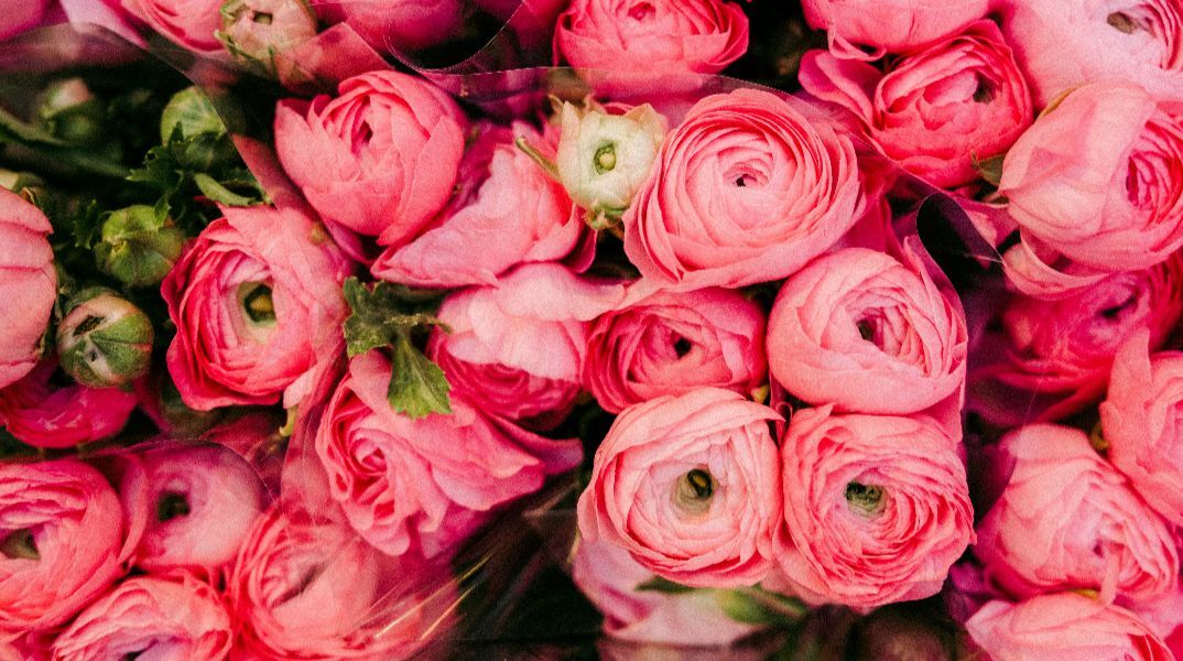 Εορτολόγιο: Σήμερα 18 Νοεμβρίου 2025 γιορτάζει…