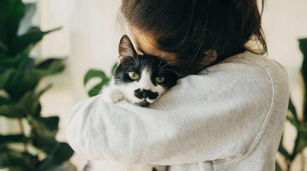 Βίντεο δείχνει πώς βλέπουν και ακούνε οι γάτες τους ανθρώπους - Οι γάτες βλέπουν με 100 καρέ/δευτερόλεπτο, αντιλαμβανόμενες τον κόσμο πιο γρήγορα.