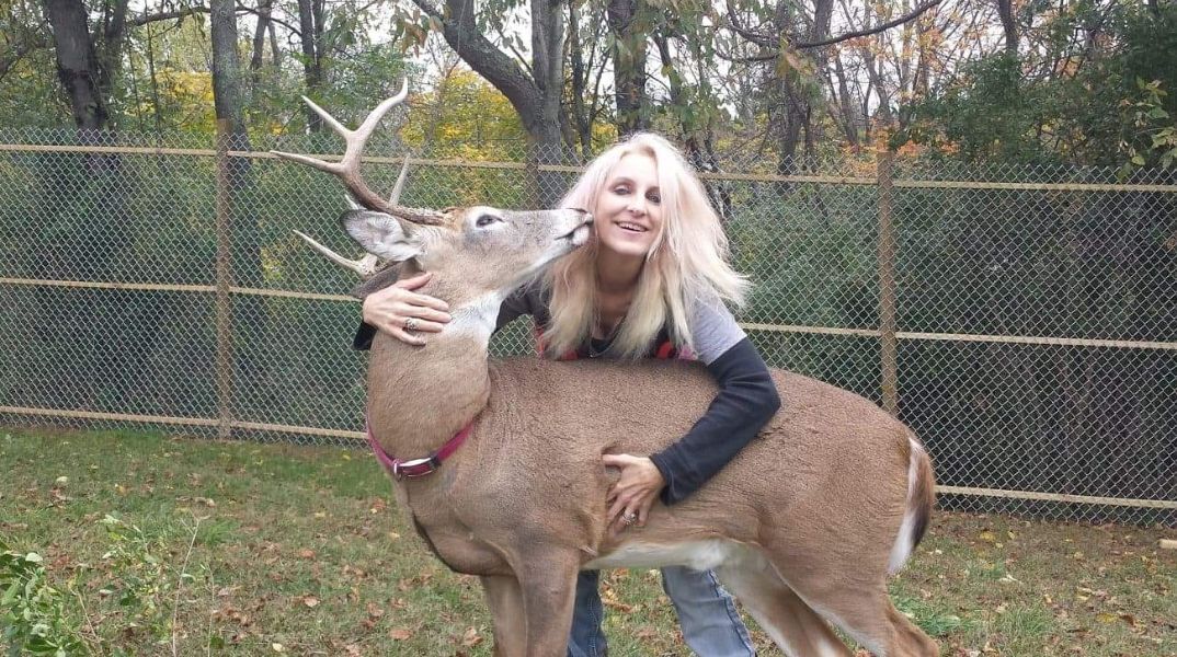 Γυναίκα στο Οχάιο πέθανε μετά από επίθεση ελαφιού που είχε διασώσει και φρόντιζε - Η κόρη της ξεκαθάρισε ότι δεν ήταν το πρώτο ελάφι που είχε σώσει.