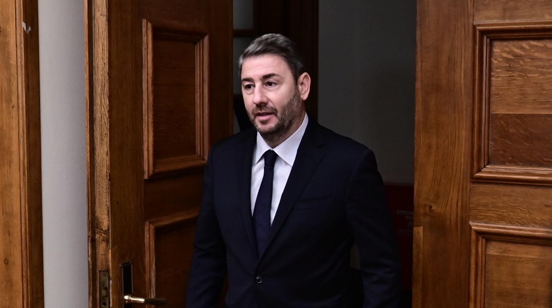 Νίκος Ανδρουλάκης