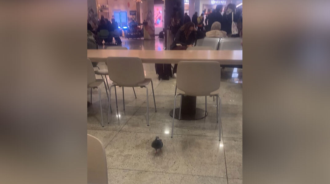 Σε βλέπω παγιδευμένο