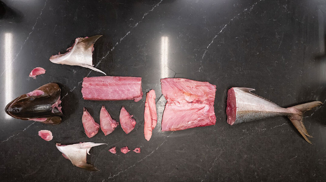 Βασίλαινας