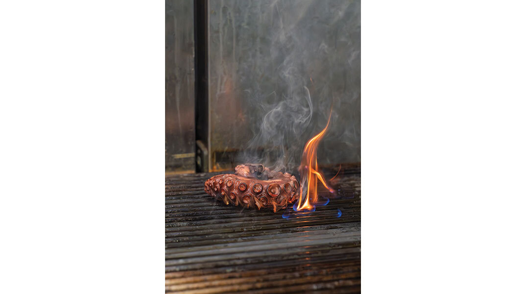 Βασίλαινας