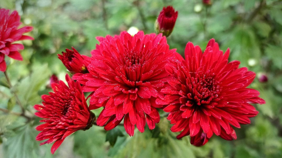 Εορτολόγιο: Σήμερα 4 Δεκεμβρίου 2025 γιορτάζει…