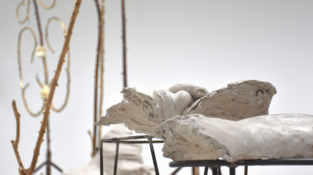 an_evening_botanist_