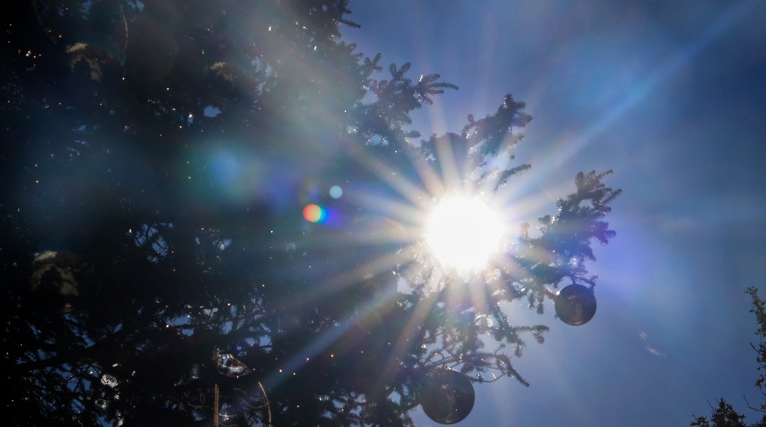 ήλιος πίσω από τα κλαδιά χριστουγεννιάτικου δέντρου