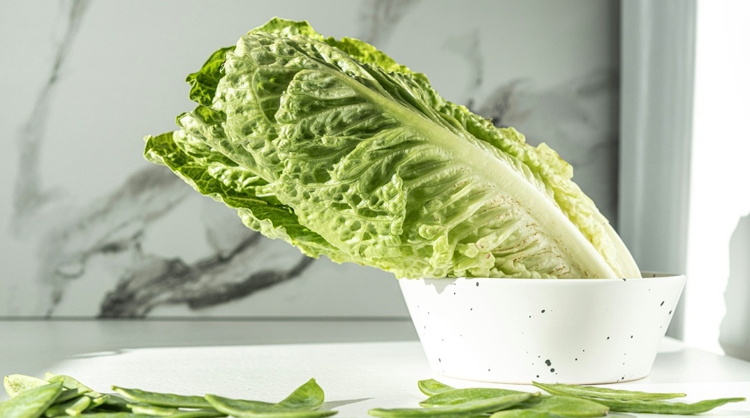 Μαρούλι μέσα σε μπολ