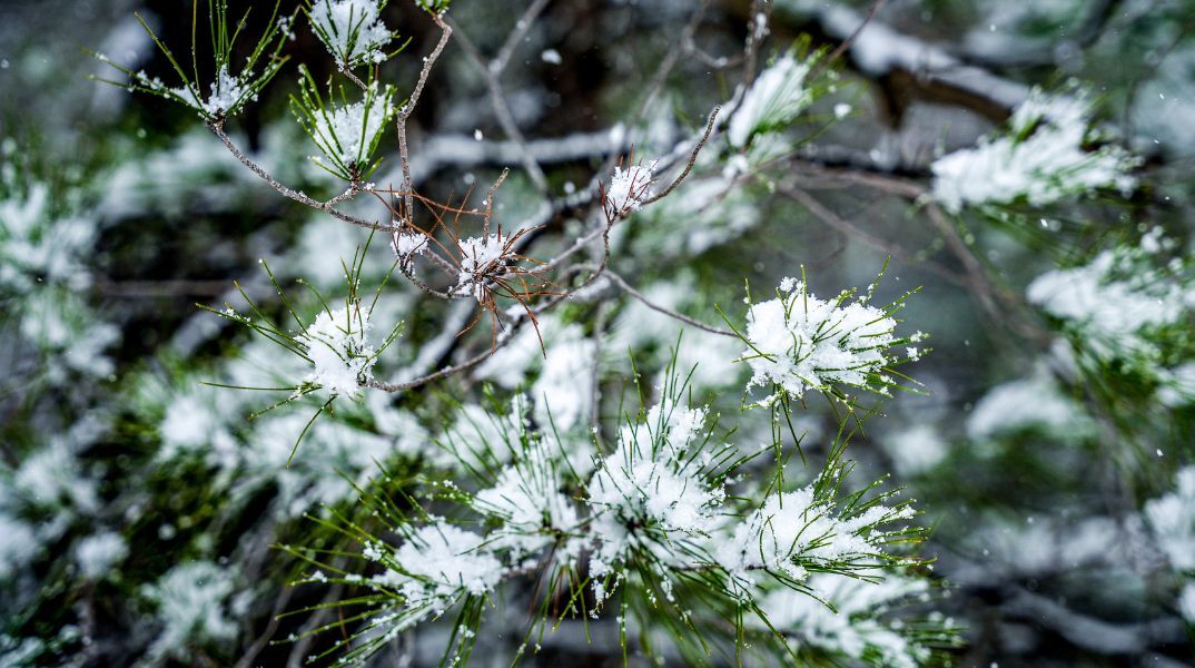 Καιρός: Βροχές στα νότια και παγετός στα βόρεια την Κυριακή 21 Δεκεμβρίου - Καταιγίδες σε Κρήτη και Δωδεκάνησα, χαμηλές θερμοκρασίες στην ηπειρωτική χώρα