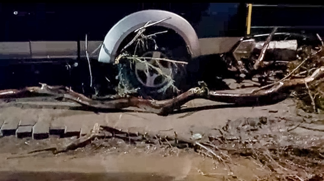 Πτώση δέντρου