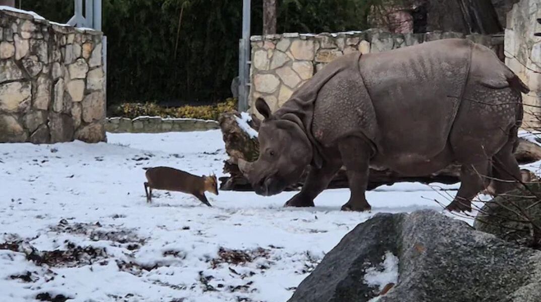 athensvoice_-_2026-01-09t200841_955