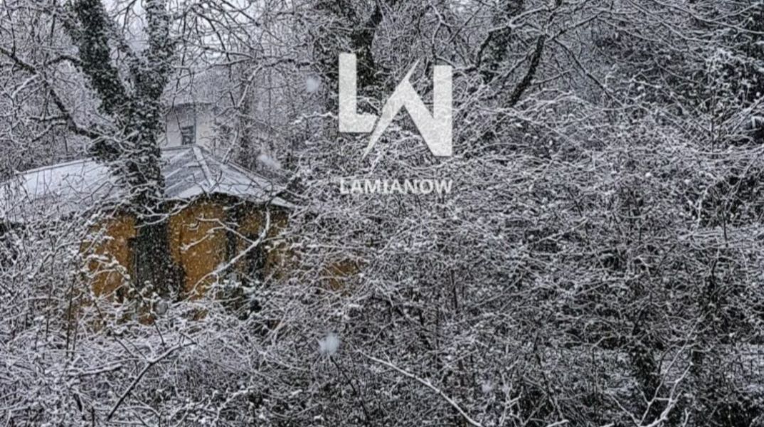 Ντύθηκαν στα «λευκά» τα ορεινά χωριά της χώρας - Εντυπωσιακές εικόνες με το χιονισμένο τοπίο