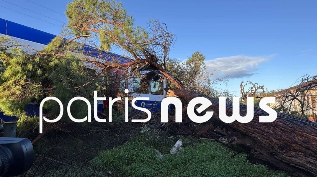 Δέντρο έπεσε σε εν κινήσει τρένο στο δρομολόγιο Πύργος - Κατάκολο