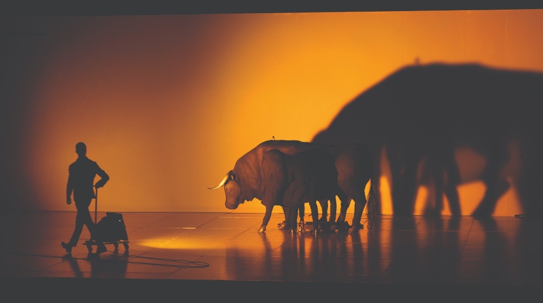 Καρδιά του Ταύρου