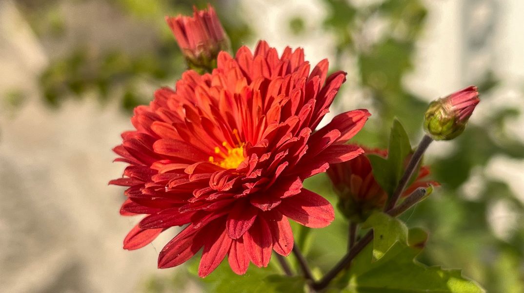 Εορτολόγιο: Σήμερα, 30 Ιανουαρίου 2026 γιορτάζει…