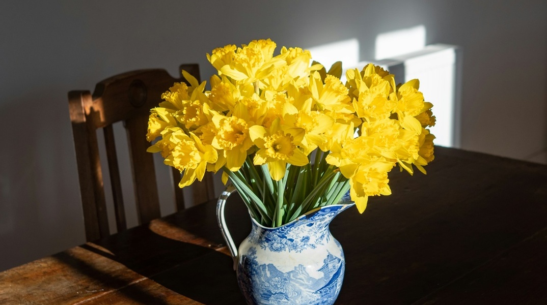 Λουλούδια σε βάζο