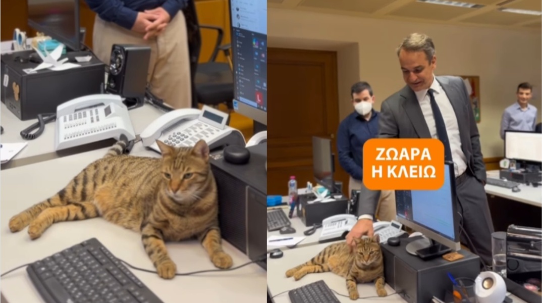 Ο Κυριάκος Μητσοτάκης στο Μέγαρο Μαξίμου με τη γατούλα Κλειώ