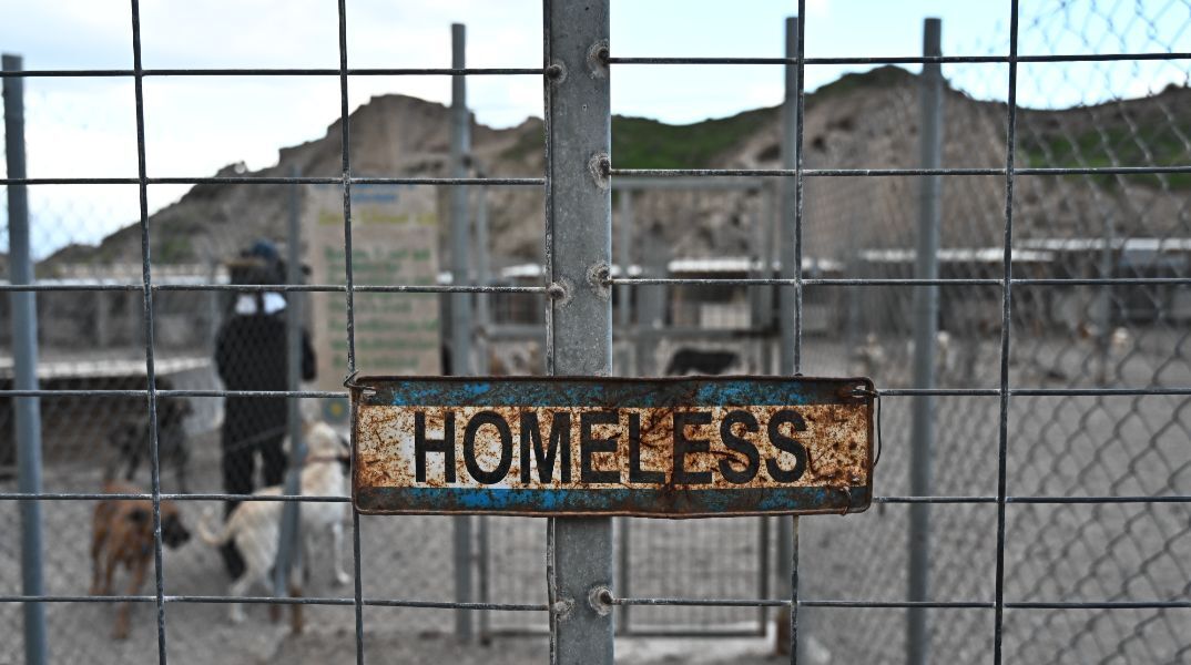 Καταφύγιο αδέσποτων ζώων