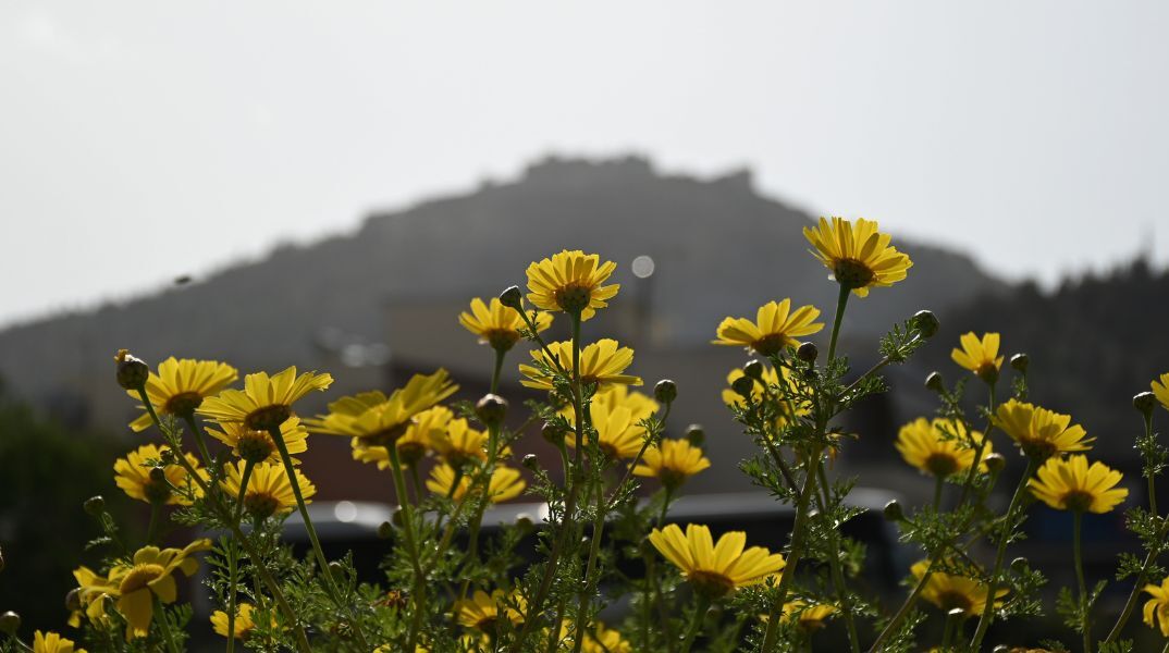 O καιρός σήμερα, Σάββατο 7 Φεβρουαρίου: Υψηλή για την εποχή θερμοκρασία και μεταφορά αφρικανικής σκόνης - Πού θα εκδηλωθούν βροχές.