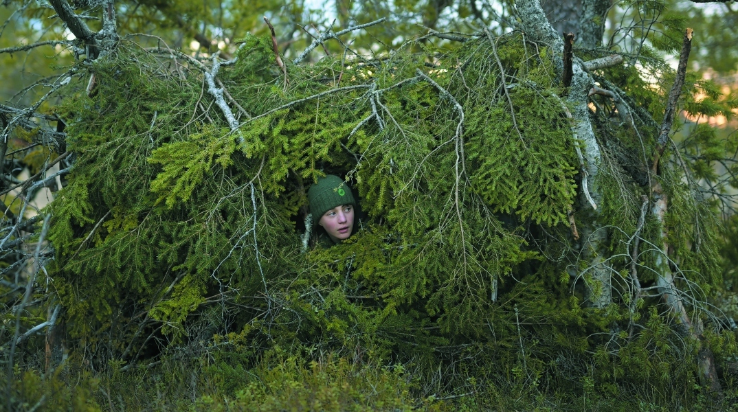 Το τραγούδι του Δάσους